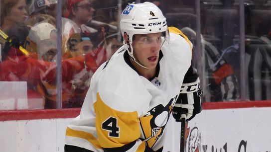 Penguins recall Fedun from Wilkes-Barre taken at PPG Paints Arena (Penguins)